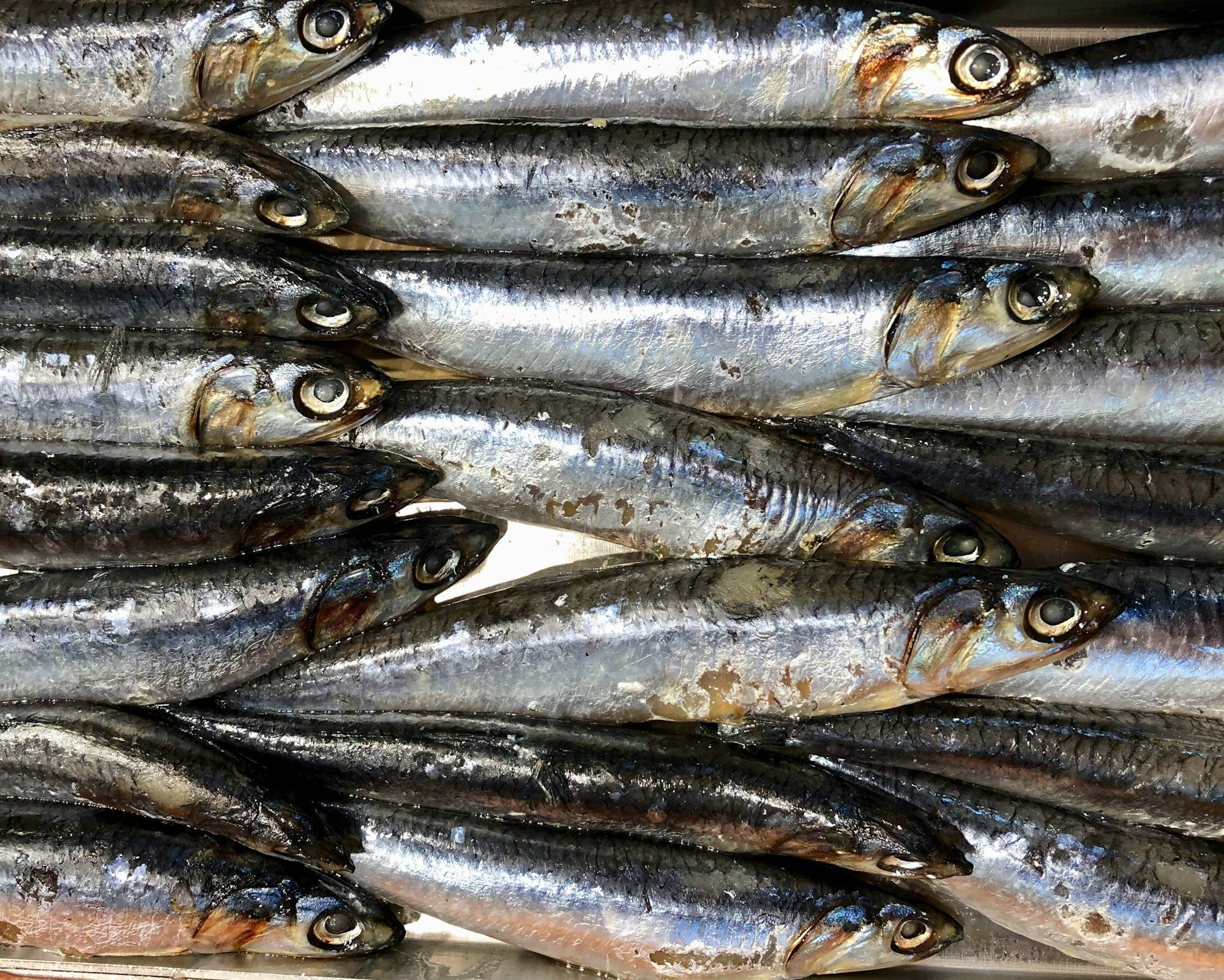 Stop-motion of the making: American anchovies on ice, a basket of sea salt, then the wooden vats they ferment in
